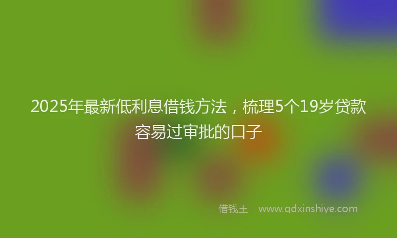 2025年最新低利息借钱方法，梳理5个19岁贷款容易过审批的口子