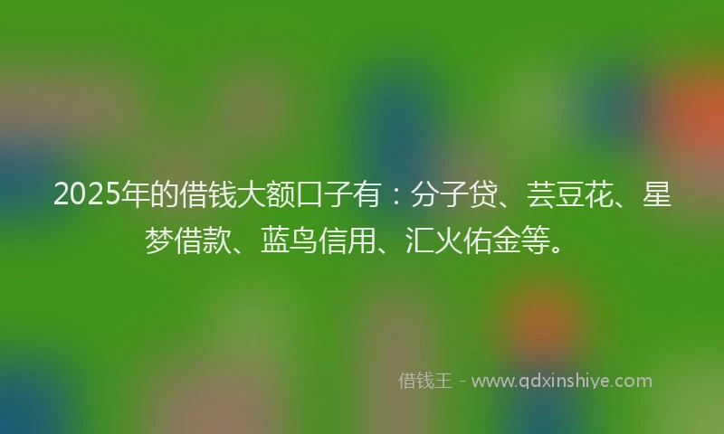 2025年的借钱大额口子有：分子贷、芸豆花、星梦借款、蓝鸟信用、汇火佑金等。