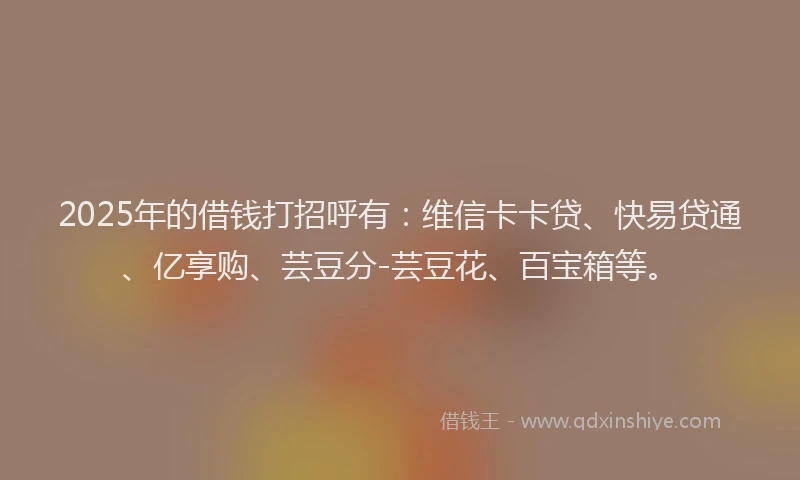 2025年的借钱打招呼有：维信卡卡贷、快易贷通、亿享购、芸豆分-芸豆花、百宝箱等。
