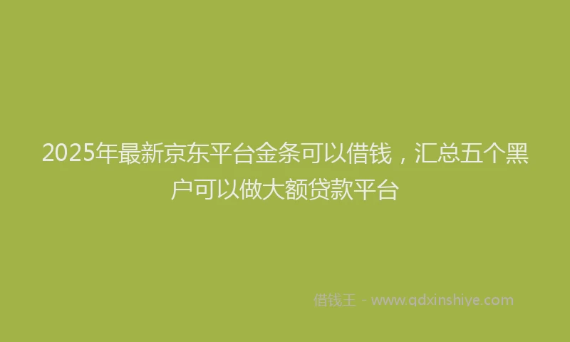 2025年最新京东平台金条可以借钱，汇总五个黑户可以做大额贷款平台