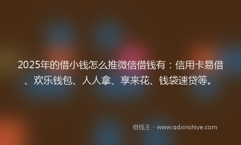 2025年的借小钱怎么推微信借钱有：信用卡易借、欢乐钱包、人人拿、享来花、钱袋速贷等。