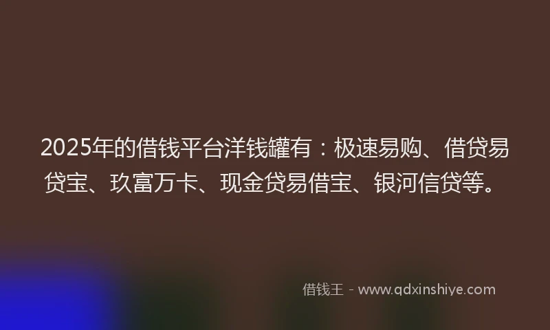 2025年的借钱平台洋钱罐有：极速易购、借贷易贷宝、玖富万卡、现金贷易借宝、银河信贷等。