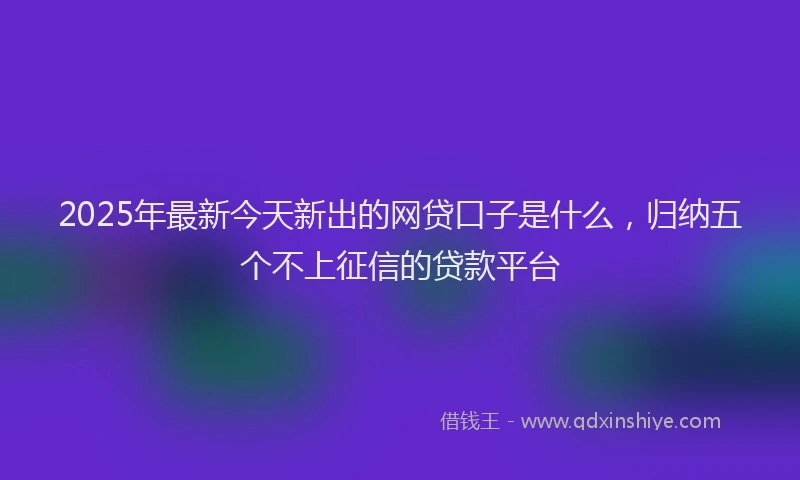 2025年最新今天新出的网贷口子是什么，归纳五个不上征信的贷款平台