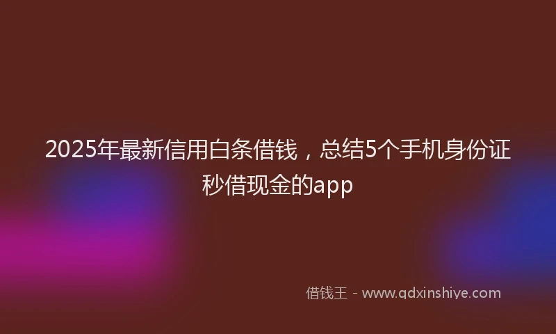 2025年最新信用白条借钱，总结5个手机身份证秒借现金的app