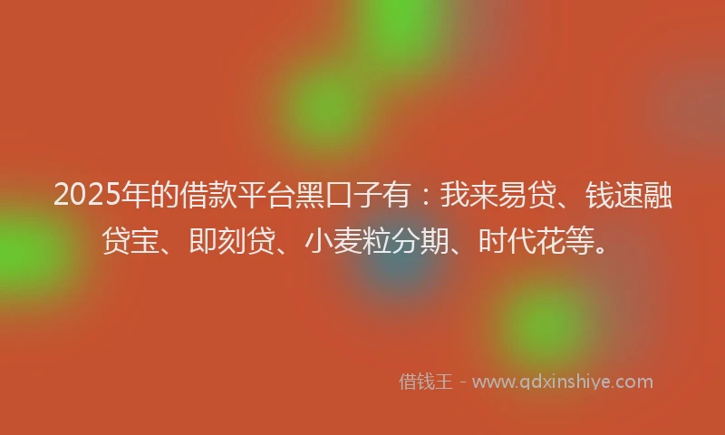 2025年的借款平台黑口子有：我来易贷、钱速融贷宝、即刻贷、小麦粒分期、时代花等。