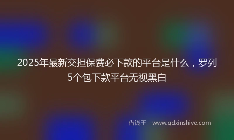 2025年最新交担保费必下款的平台是什么，罗列5个包下款平台无视黑白