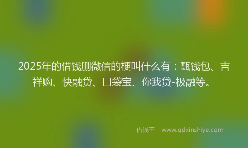 2025年的借钱删微信的梗叫什么有：甄钱包、吉祥购、快融贷、口袋宝、你我贷-极融等。