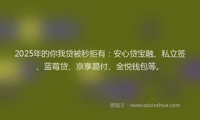 2025年的你我贷被秒拒有：安心贷宝融、私立签、蓝莓贷、京享易付、金悦钱包等。