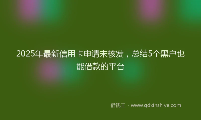 2025年最新信用卡申请未核发，总结5个黑户也能借款的平台