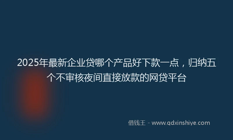 2025年最新企业贷哪个产品好下款一点，归纳五个不审核夜间直接放款的网贷平台