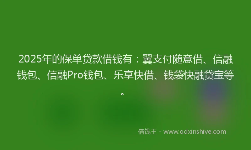 2025年的保单贷款借钱有：翼支付随意借、信融钱包、信融Pro钱包、乐享快借、钱袋快融贷宝等。