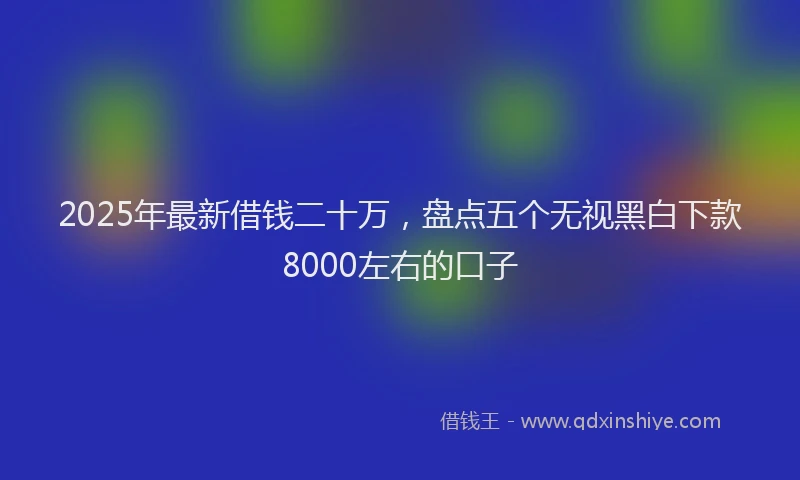 2025年最新借钱二十万，盘点五个无视黑白下款8000左右的口子