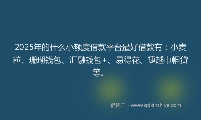 2025年的什么小额度借款平台最好借款有：小麦粒、珊瑚钱包、汇融钱包+、易得花、捷越巾帼贷等。