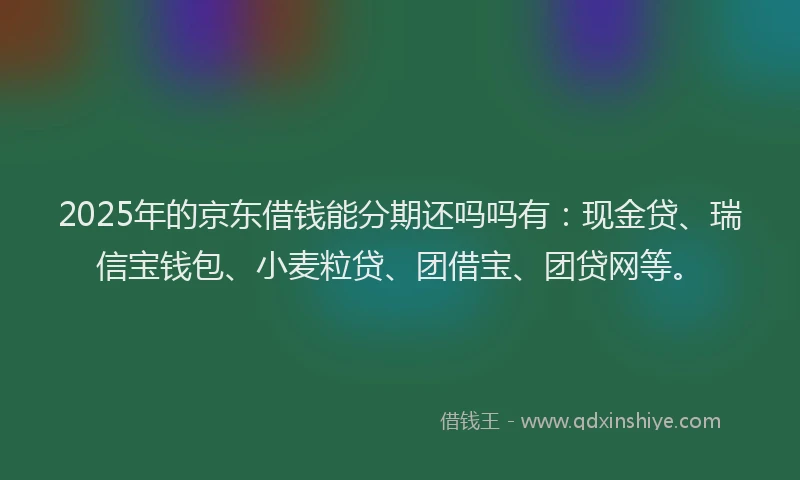 2025年的京东借钱能分期还吗吗有：现金贷、瑞信宝钱包、小麦粒贷、团借宝、团贷网等。