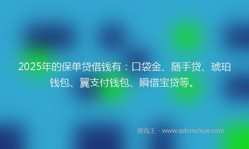 2025年的保单贷借钱有：口袋金、随手贷、琥珀钱包、翼支付钱包、瞬借宝贷等。