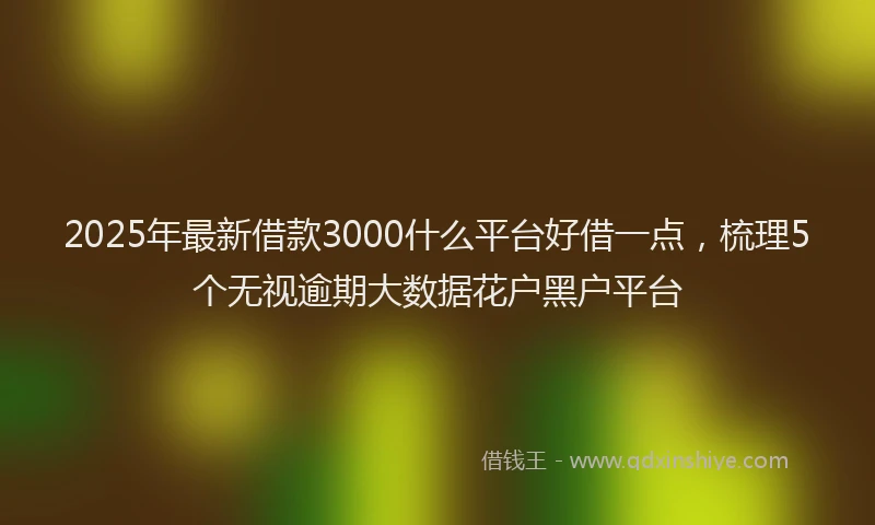 2025年最新借款3000什么平台好借一点，梳理5个无视逾期大数据花户黑户平台
