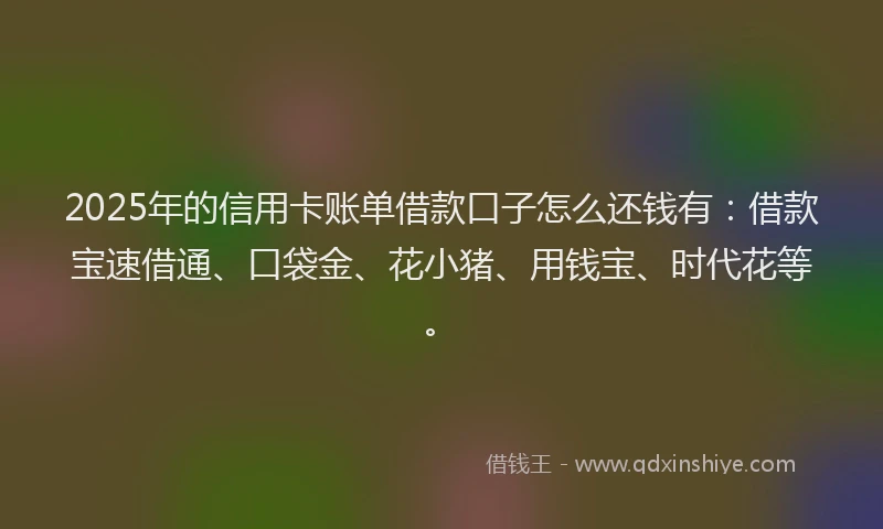 2025年的信用卡账单借款口子怎么还钱有：借款宝速借通、口袋金、花小猪、用钱宝、时代花等。