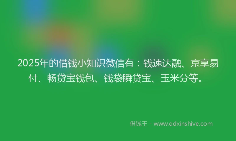 2025年的借钱小知识微信有：钱速达融、京享易付、畅贷宝钱包、钱袋瞬贷宝、玉米分等。