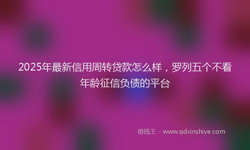 2025年最新信用周转贷款怎么样，罗列五个不看年龄征信负债的平台