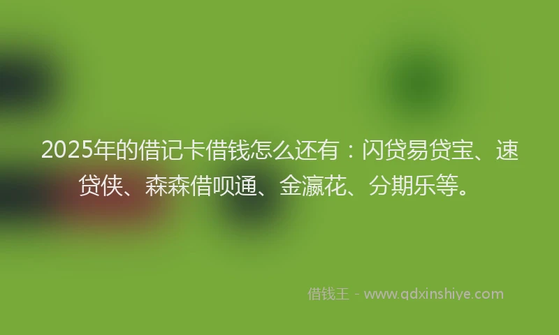 2025年的借记卡借钱怎么还有：闪贷易贷宝、速贷侠、森森借呗通、金瀛花、分期乐等。