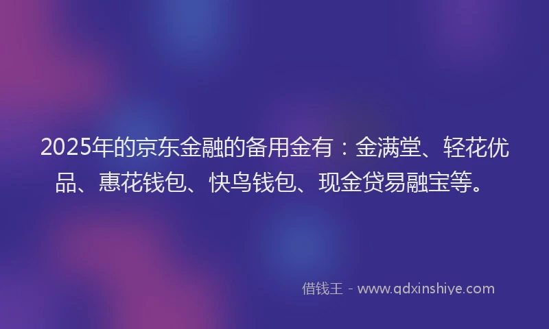 2025年的京东金融的备用金有：金满堂、轻花优品、惠花钱包、快鸟钱包、现金贷易融宝等。