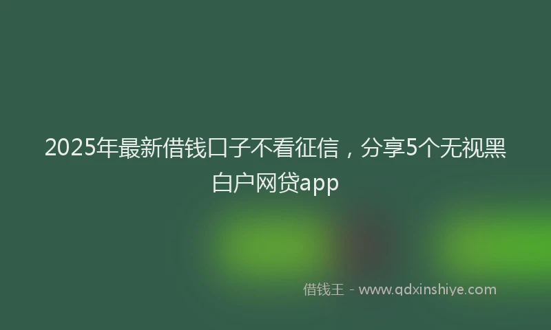 2025年最新借钱口子不看征信，分享5个无视黑白户网贷app