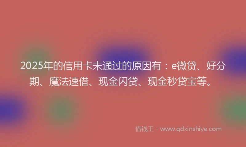 2025年的信用卡未通过的原因有：e微贷、好分期、魔法速借、现金闪贷、现金秒贷宝等。