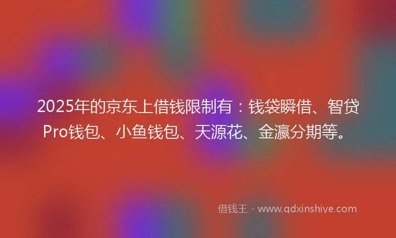 2025年的京东上借钱限制有：钱袋瞬借、智贷Pro钱包、小鱼钱包、天源花、金瀛分期等。