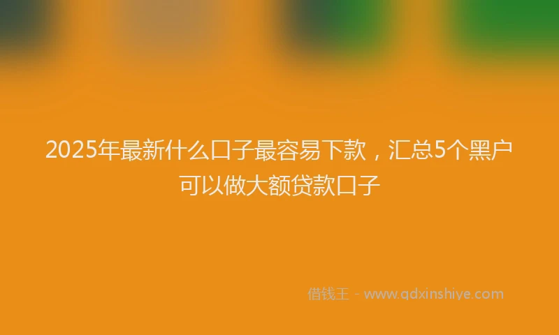 2025年最新什么口子最容易下款，汇总5个黑户可以做大额贷款口子