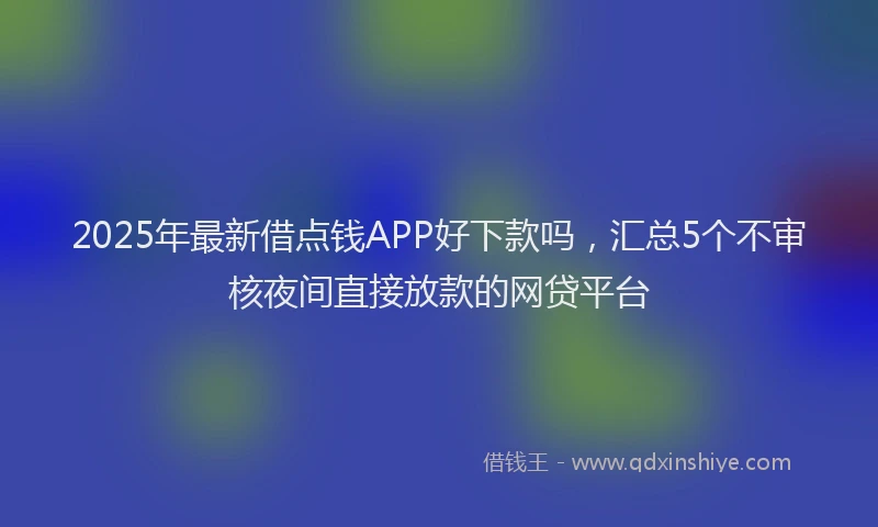 2025年最新借点钱APP好下款吗，汇总5个不审核夜间直接放款的网贷平台