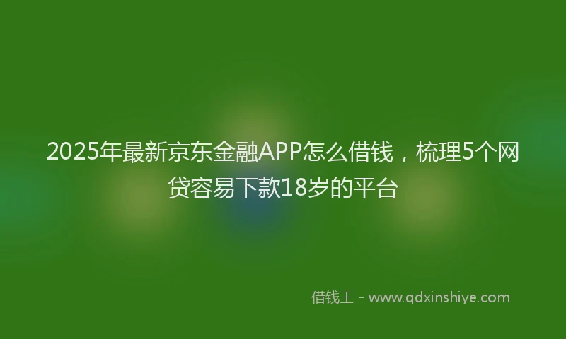 2025年最新京东金融APP怎么借钱，梳理5个网贷容易下款18岁的平台