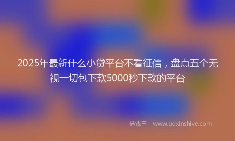 2025年最新什么小贷平台不看征信，盘点五个无视一切包下款5000秒下款的平台