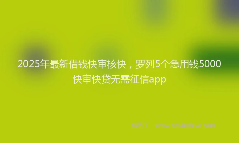 2025年最新借钱快审核快，罗列5个急用钱5000快审快贷无需征信app