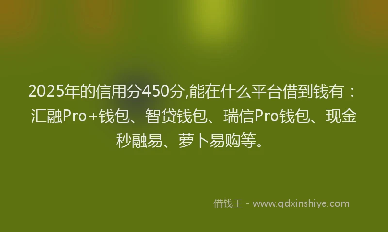 2025年的信用分450分,能在什么平台借到钱有：汇融Pro+钱包、智贷钱包、瑞信Pro钱包、现金秒融易、萝卜易购等。