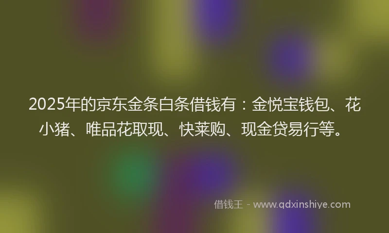 2025年的京东金条白条借钱有：金悦宝钱包、花小猪、唯品花取现、快莱购、现金贷易行等。