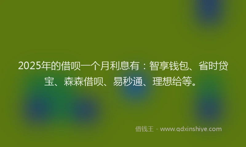 2025年的借呗一个月利息有：智享钱包、省时贷宝、森森借呗、易秒通、理想给等。