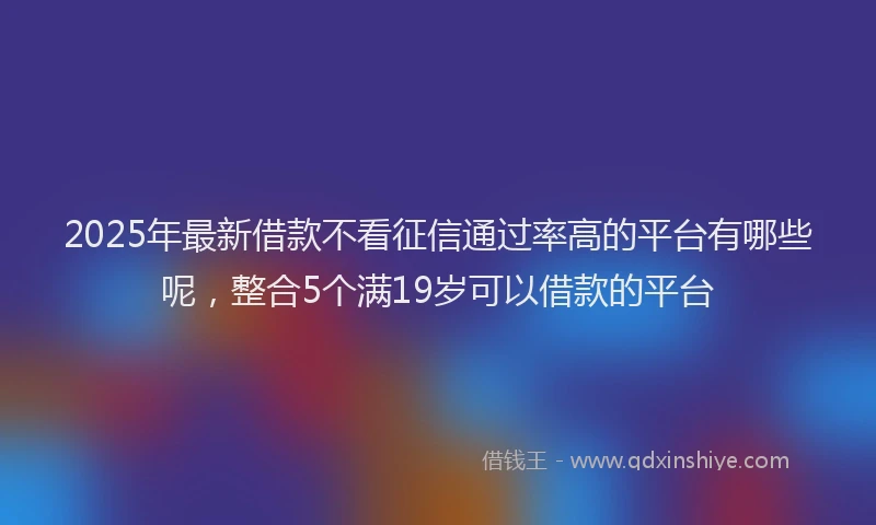 2025年最新借款不看征信通过率高的平台有哪些呢，整合5个满19岁可以借款的平台