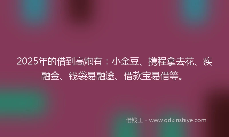 2025年的借到高炮有：小金豆、携程拿去花、疾融金、钱袋易融途、借款宝易借等。