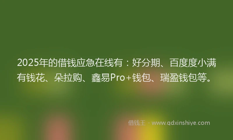 2025年的借钱应急在线有：好分期、百度度小满有钱花、朵拉购、鑫易Pro+钱包、瑞盈钱包等。