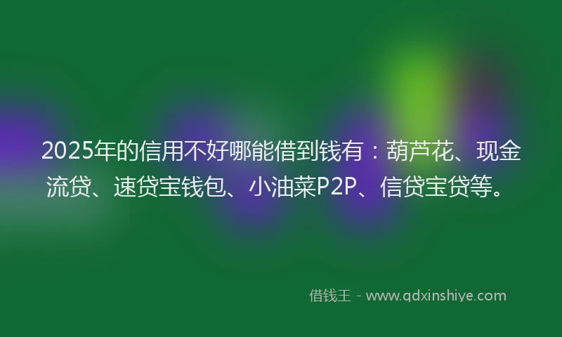 2025年的信用不好哪能借到钱有：葫芦花、现金流贷、速贷宝钱包、小油菜P2P、信贷宝贷等。