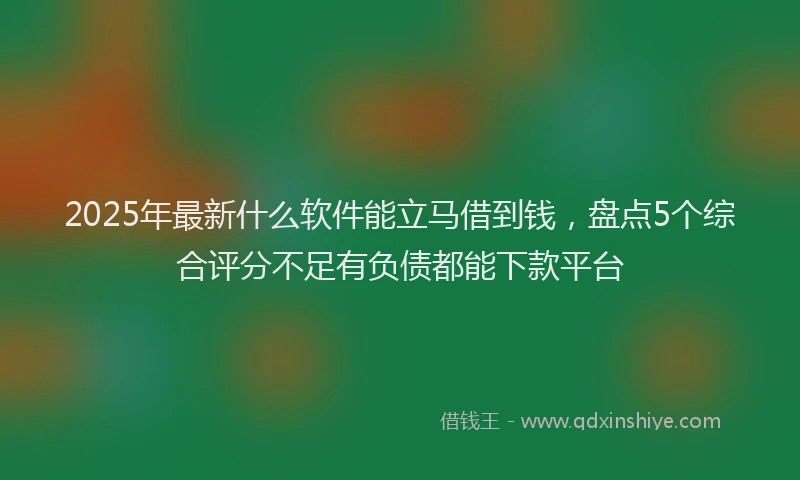 2025年最新什么软件能立马借到钱，盘点5个综合评分不足有负债都能下款平台