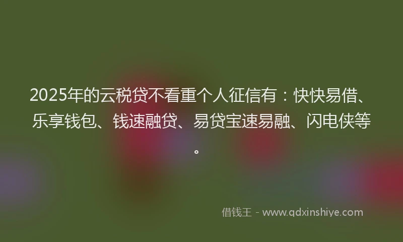 2025年的云税贷不看重个人征信有：快快易借、乐享钱包、钱速融贷、易贷宝速易融、闪电侠等。