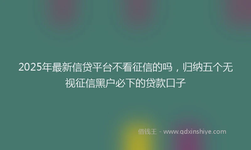 2025年最新信贷平台不看征信的吗，归纳五个无视征信黑户必下的贷款口子