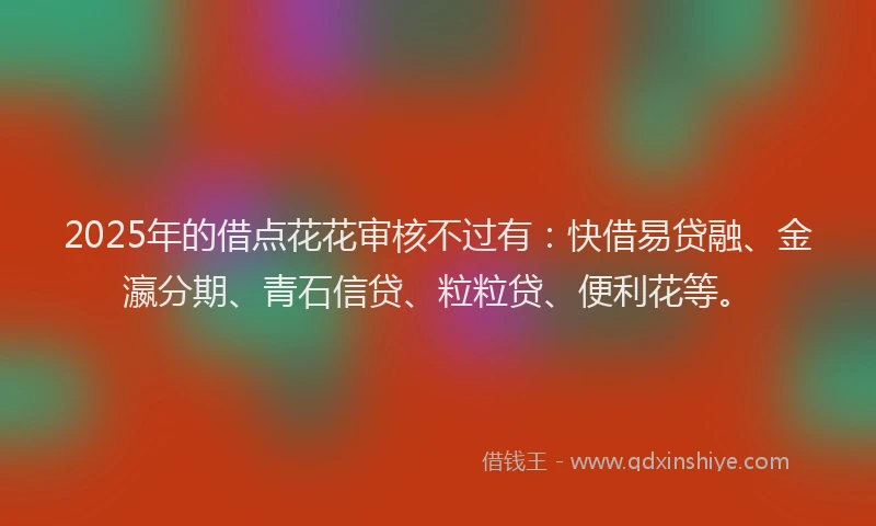 2025年的借点花花审核不过有：快借易贷融、金瀛分期、青石信贷、粒粒贷、便利花等。