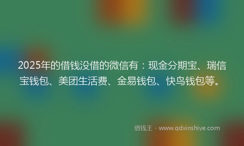 2025年的借钱没借的微信有：现金分期宝、瑞信宝钱包、美团生活费、金易钱包、快鸟钱包等。