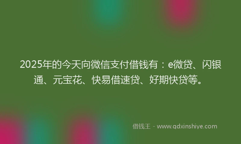 2025年的今天向微信支付借钱有：e微贷、闪银通、元宝花、快易借速贷、好期快贷等。