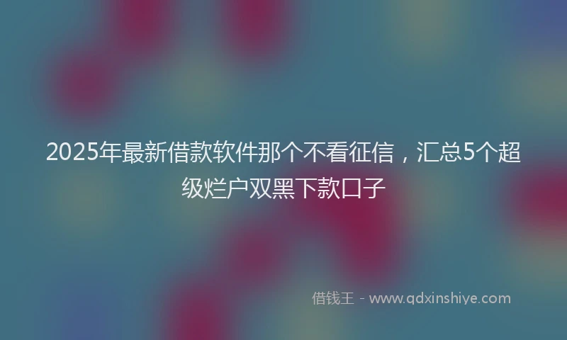 2025年最新借款软件那个不看征信，汇总5个超级烂户双黑下款口子