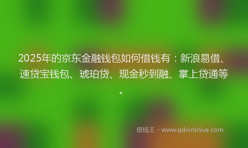 2025年的京东金融钱包如何借钱有：新浪易借、速贷宝钱包、琥珀贷、现金秒到融、掌上贷通等。