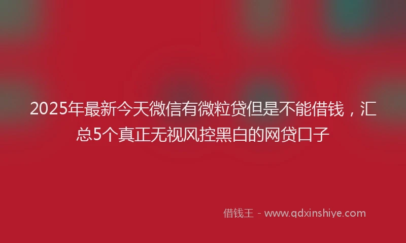 2025年最新今天微信有微粒贷但是不能借钱，汇总5个真正无视风控黑白的网贷口子