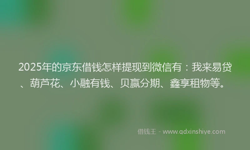 2025年的京东借钱怎样提现到微信有：我来易贷、葫芦花、小融有钱、贝赢分期、鑫享租物等。